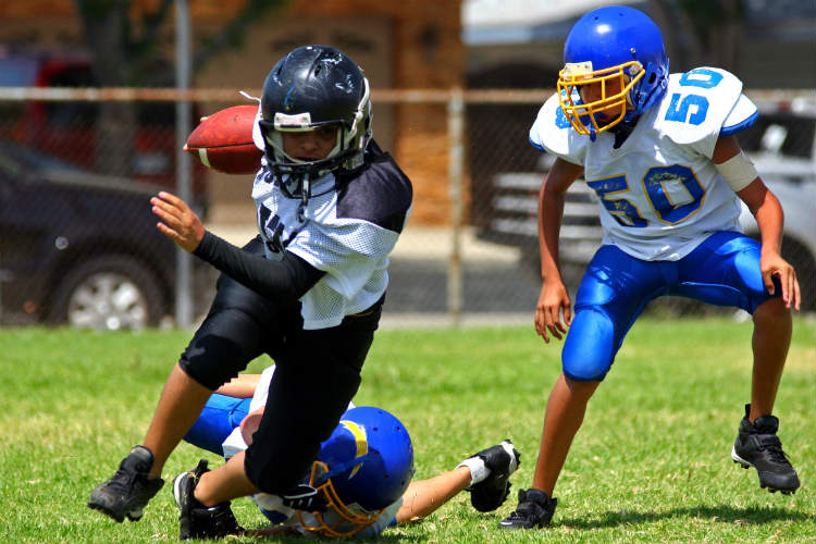 Sports Insurance